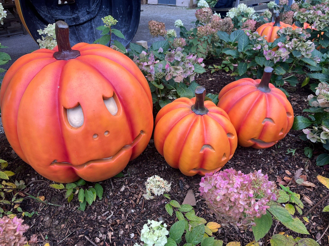 Hidden Valley The Puzzle Park-Egloskerry必去景点