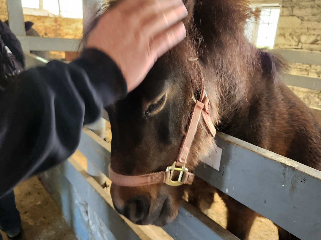 阿米什村庄-Ronks必去景点