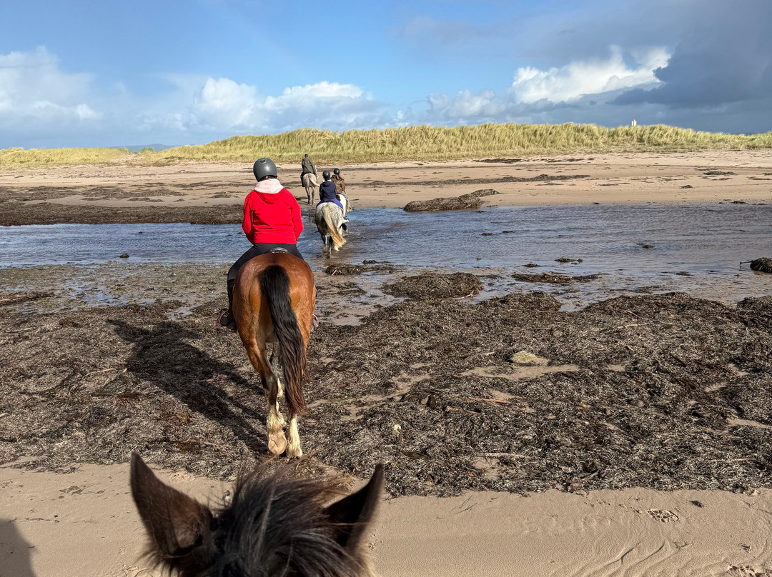O'Connor Trekking-Castlegregory必去景点