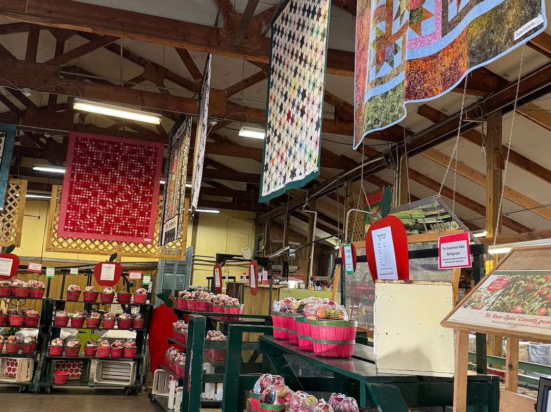 Pine Tree Apple Orchard-Dellwood必去景点