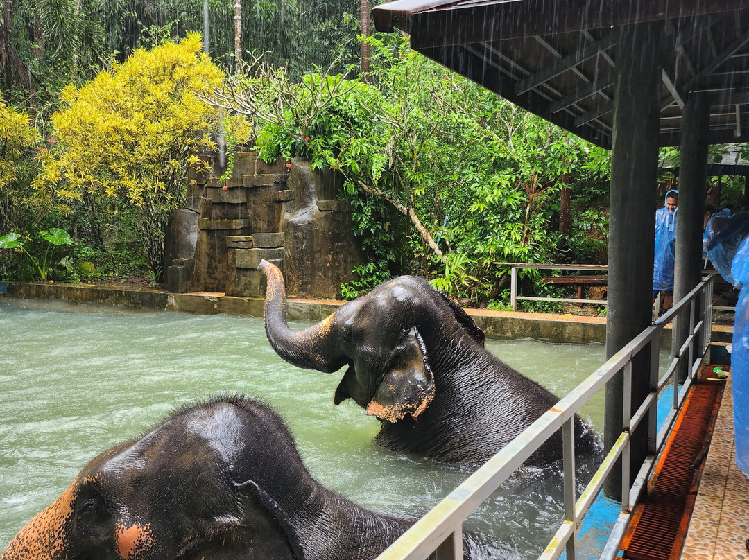 Eco Khao Lak Adventure - Private Day Tours-拉克山必去景点