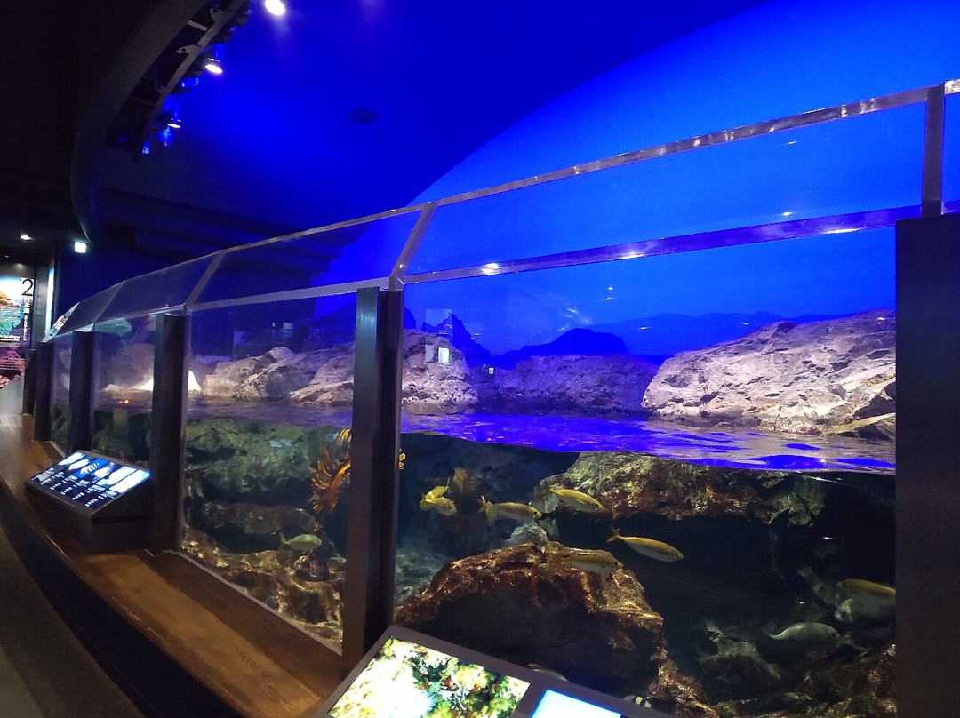 Marinepia Nihonkai-新泻市必去景点
