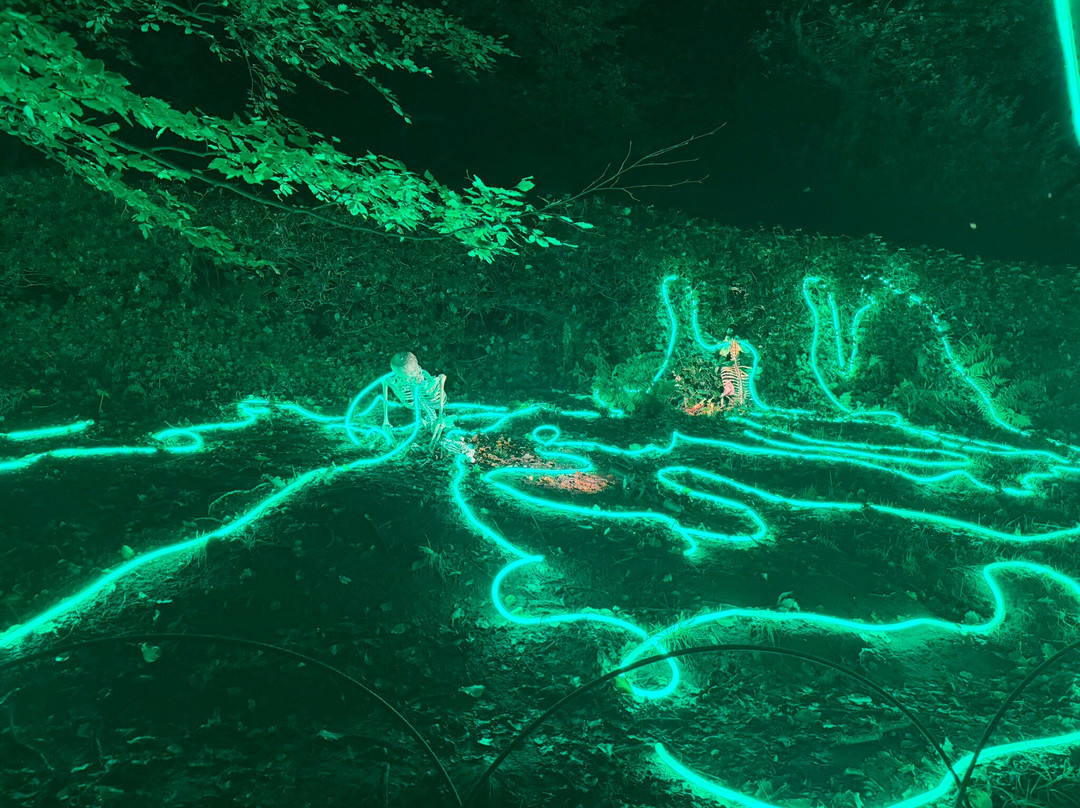 National Trust - Quarry Bank-威姆斯洛必去景点