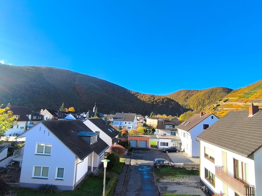 Hotel Villa Sanct Peter主图