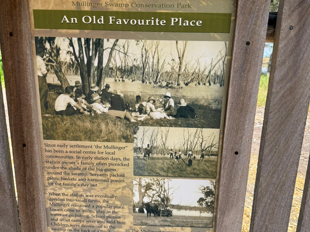 Mullinger Swamp-Kybybolite必去景点