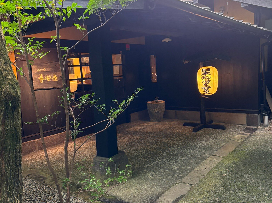 Yamaainoyado Kiyasuya主图