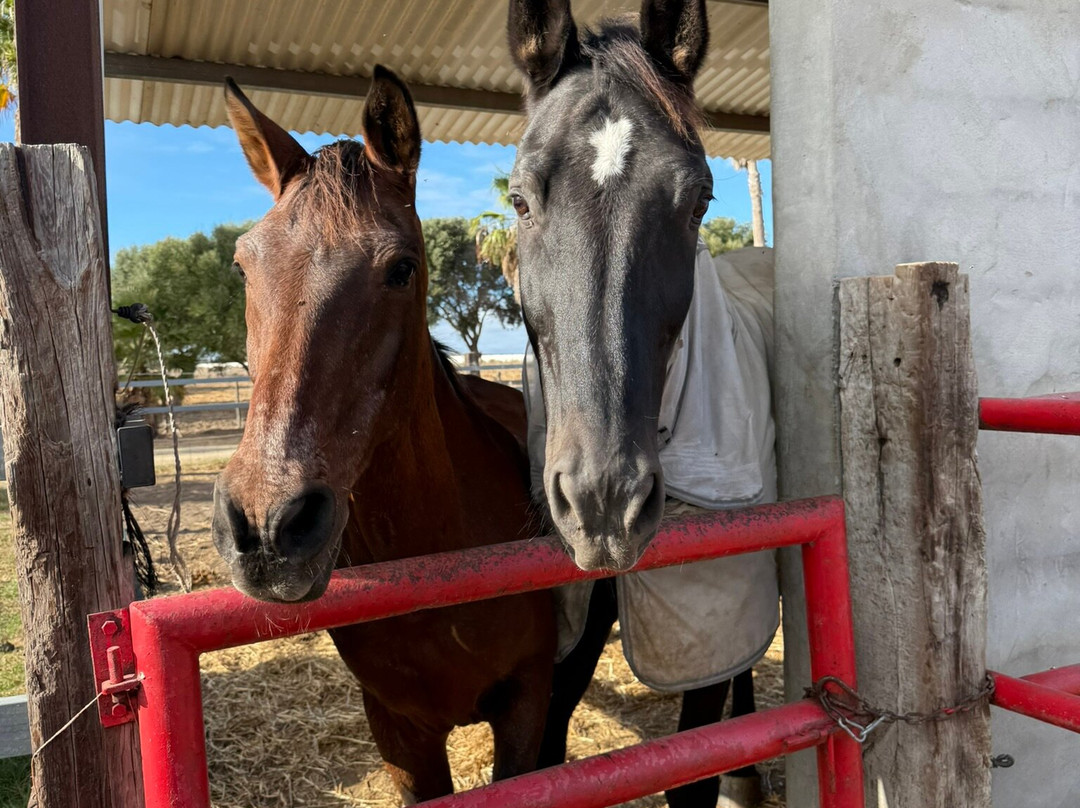 Hipica Mangueta-贝赫尔－德拉弗龙特拉必去景点