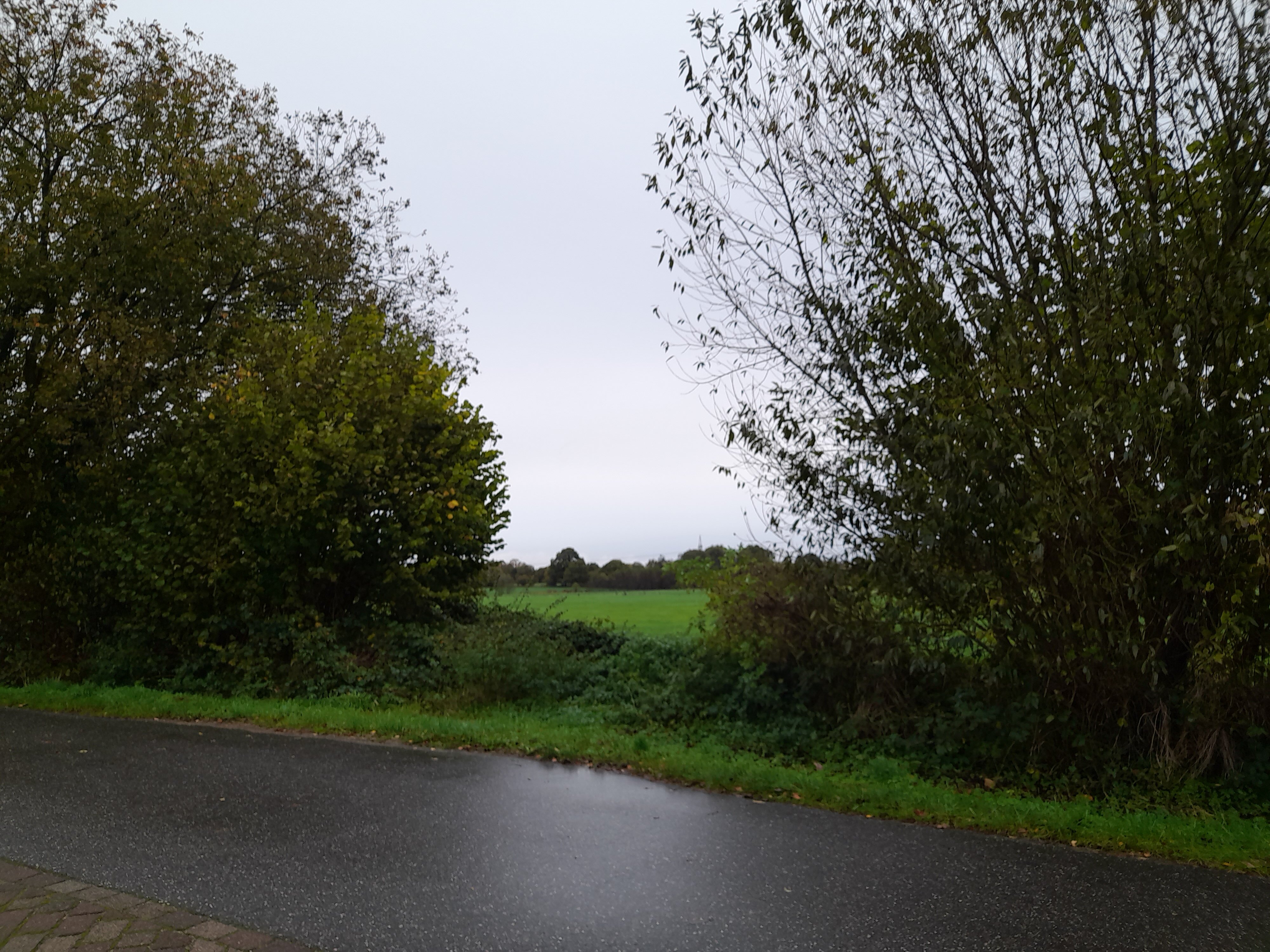 Landhotel Mollhagen-官方