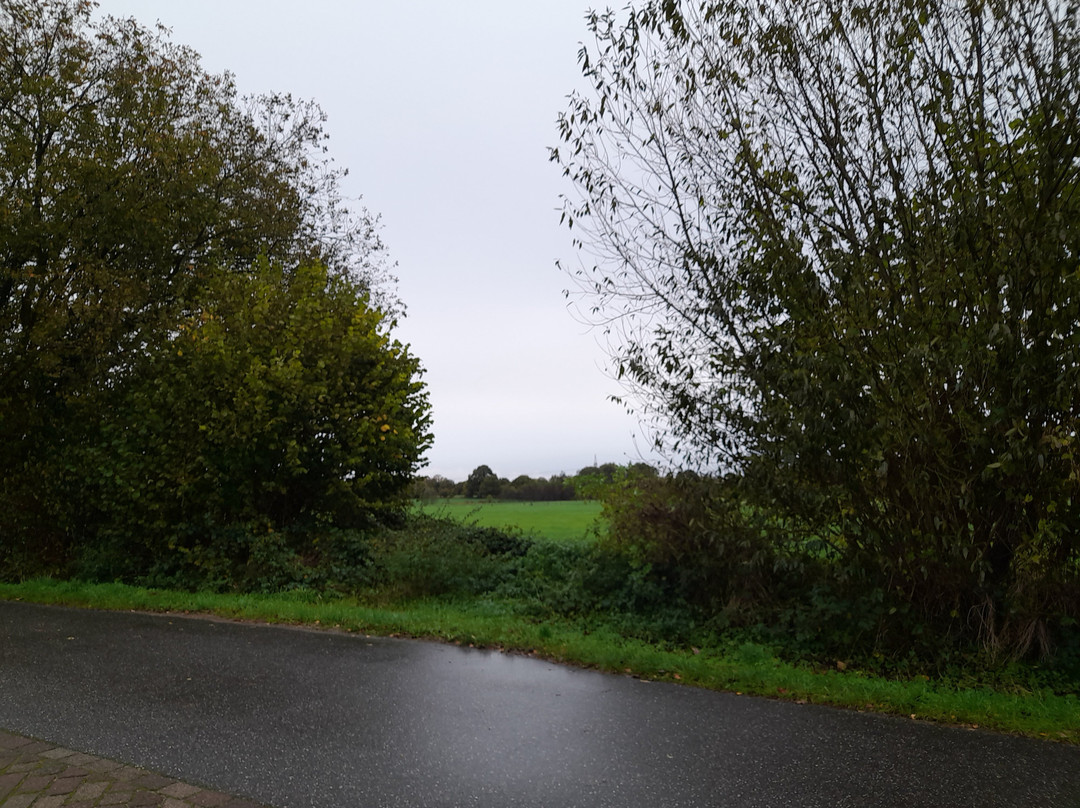 Landhotel Mollhagen主图