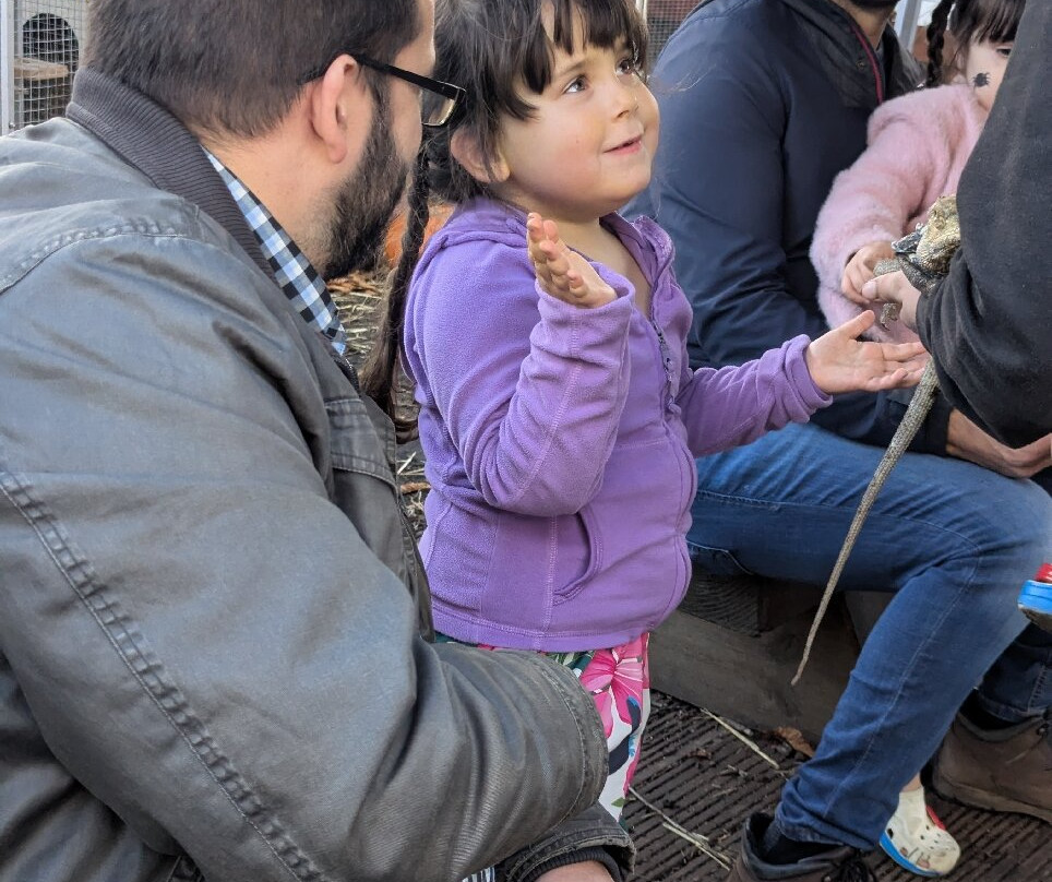 Promenade Park Petting Zoo-Maldon必去景点