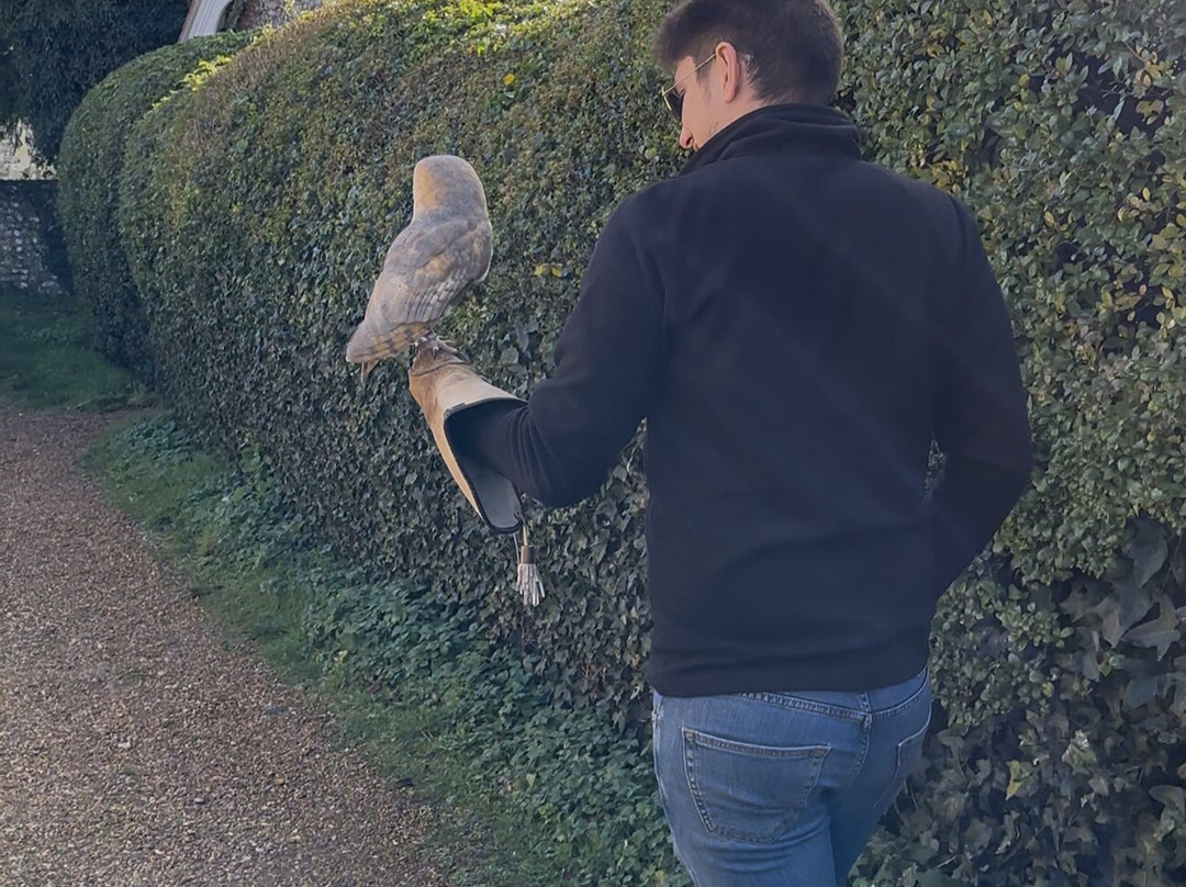 West Sussex Falconry-Compton必去景点