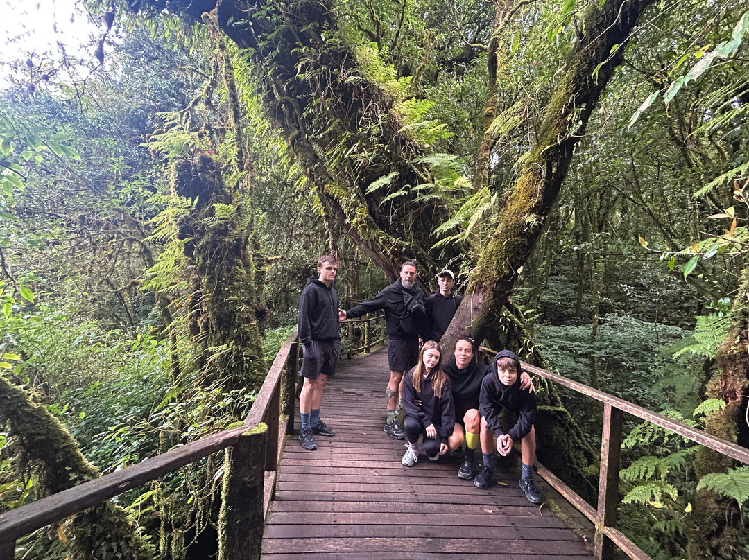 Thai Eco Trek Adventure-清迈必去景点