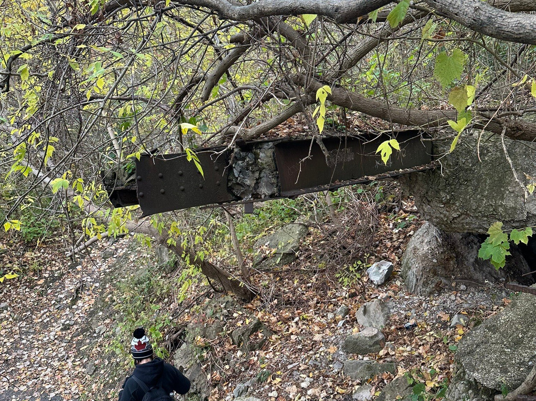 Schoellkopf Power Station-尼亚加拉大瀑布必去景点