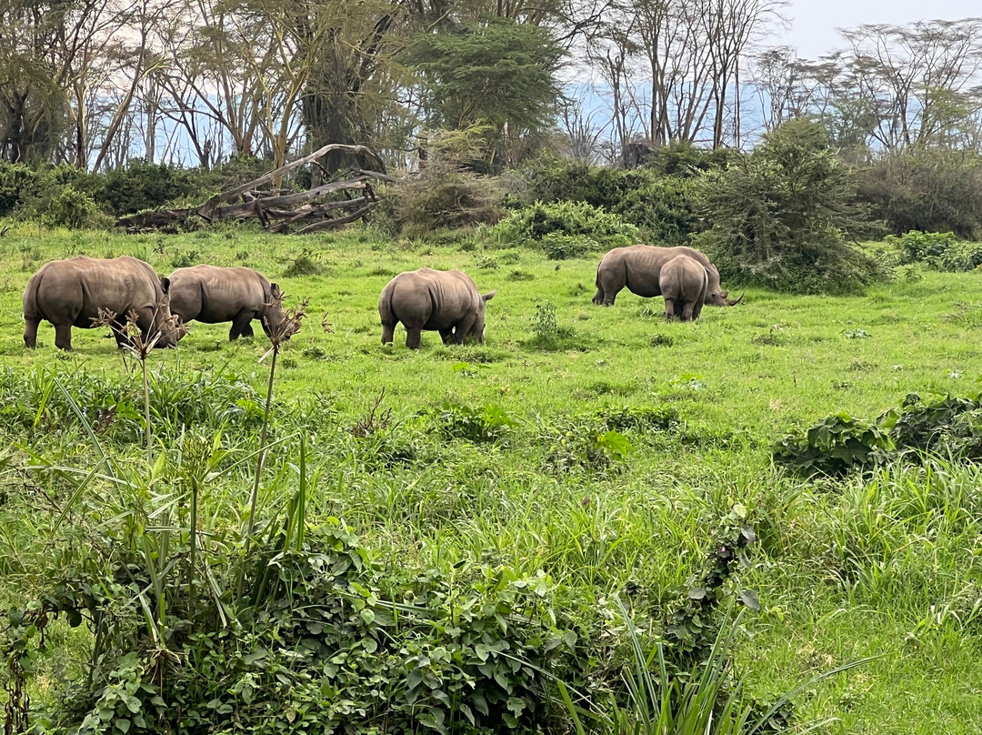 East Africa Adventure Tours and Safaris-马赛马拉国家野生动物保护区必去景点