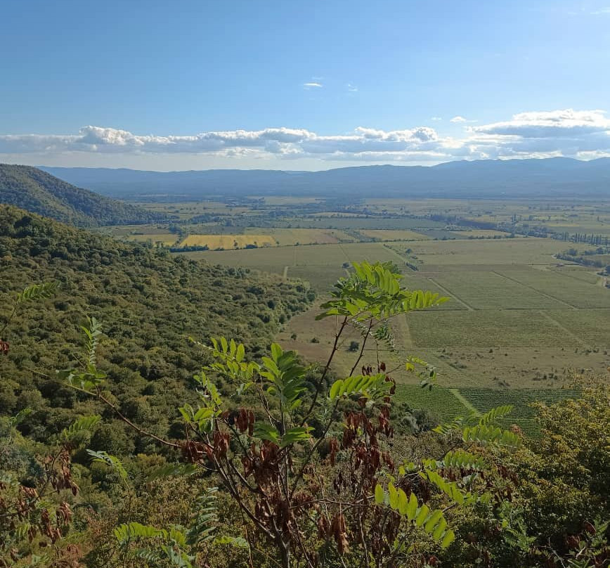 Nekresi Monastery Complex-Kvareli必去景点