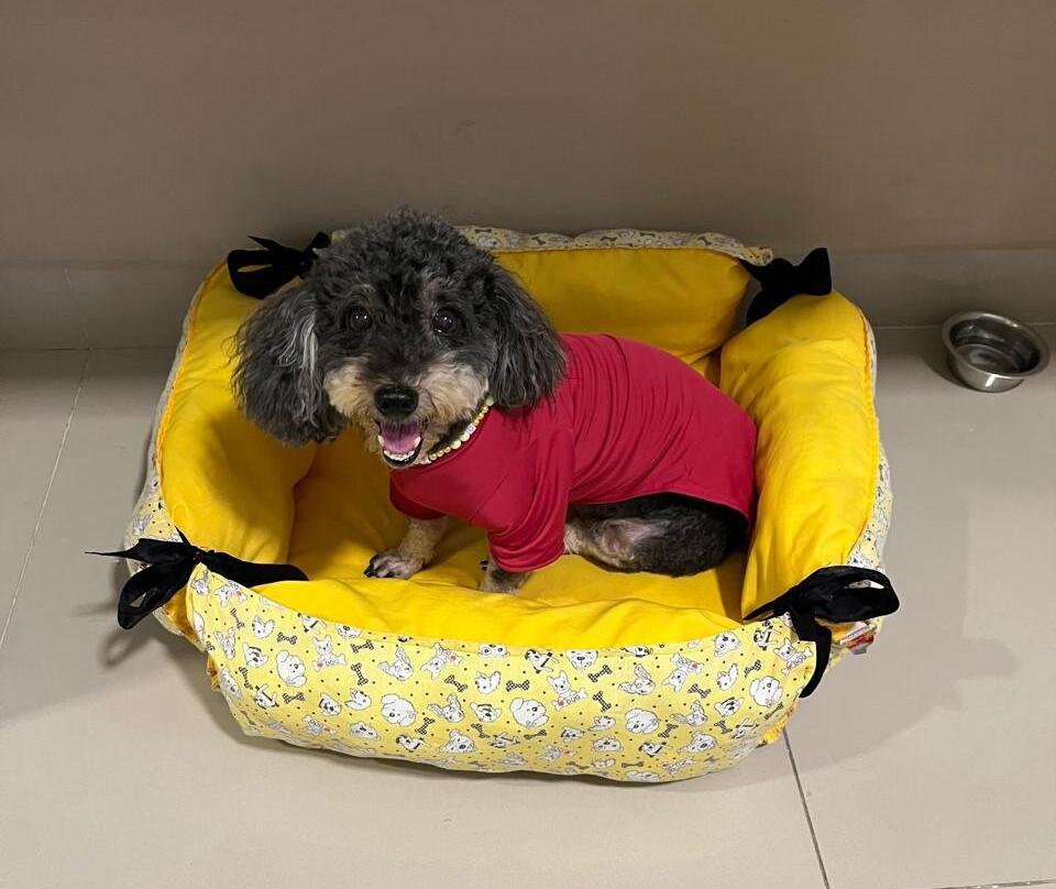 Bristol Aline Hotel主图