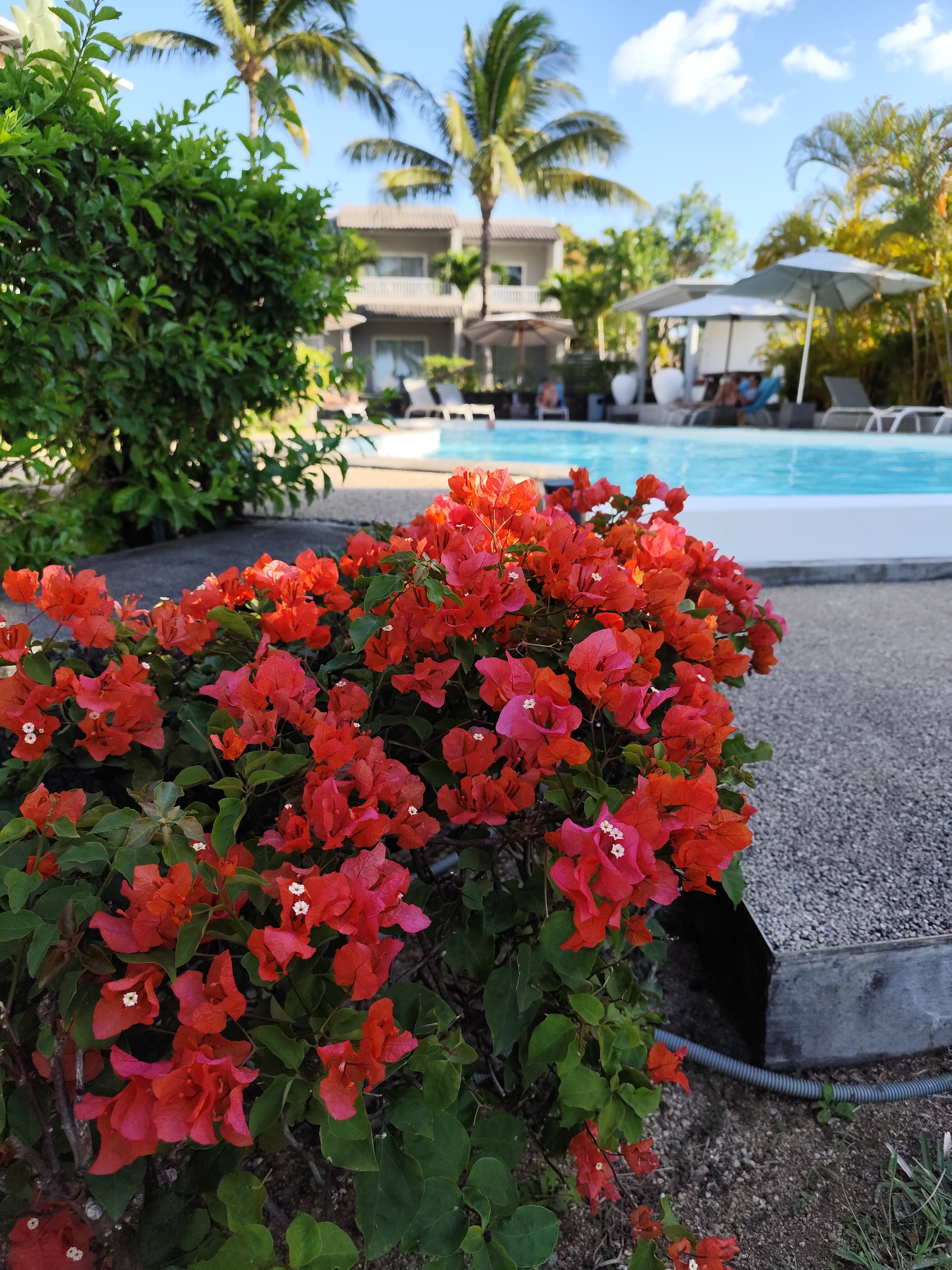 薄优布鲁旅馆-浴室