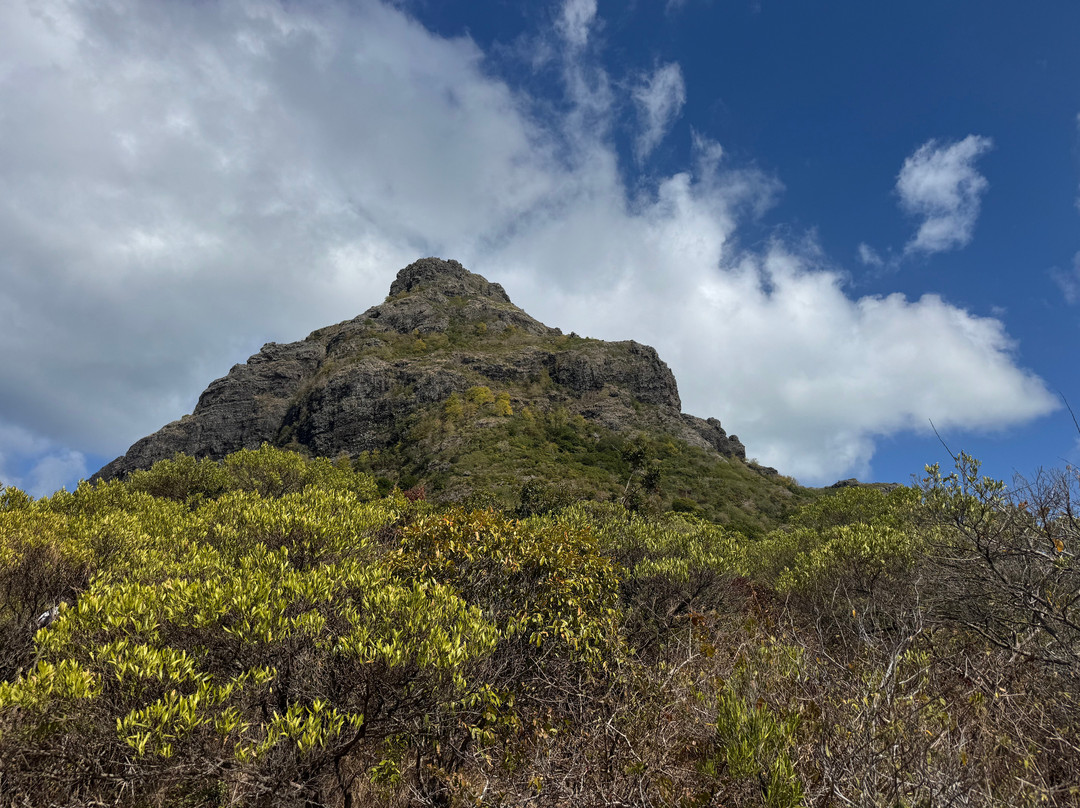 South Adventure Experience Ltd-钱米格兰尼尔必去景点