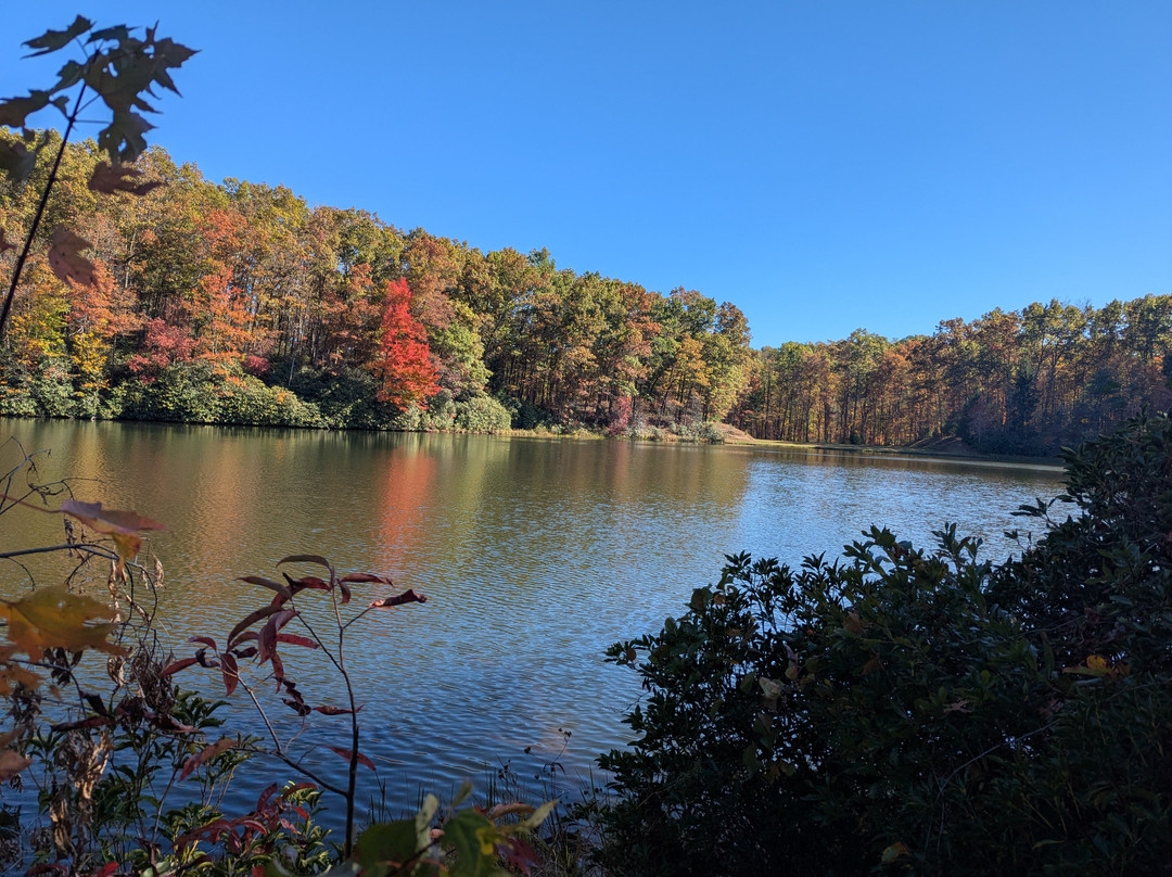 Babcock State Park-Clifftop必去景点