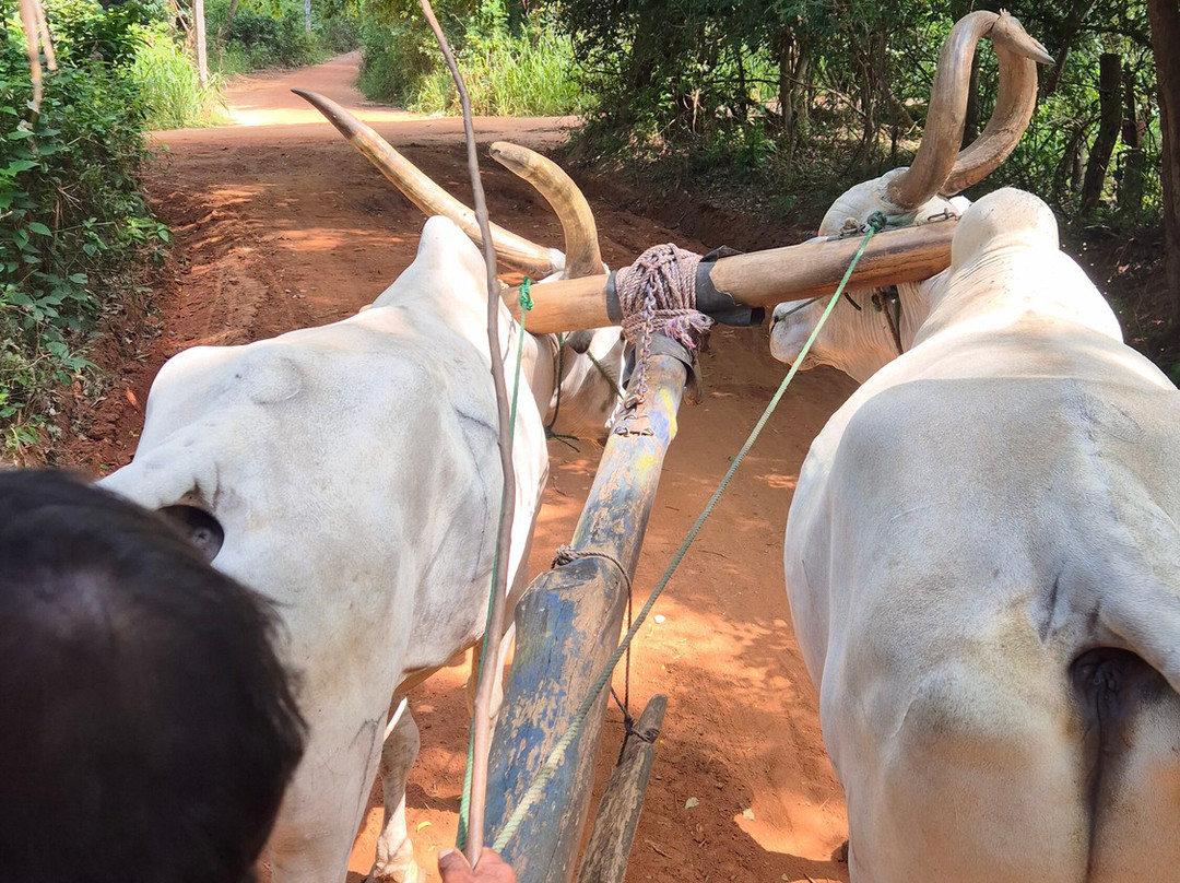 Sandun Village & Jeep Safari in Hiriwadunna-Hiriwadunna必去景点
