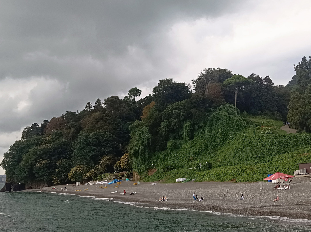 Batumi Botanical Gardens-巴统必去景点