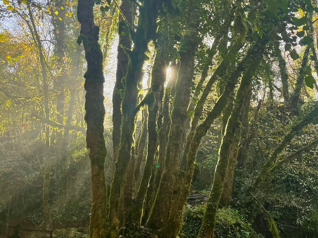 Cascate di Trevi nel Lazio-Trevi nel Lazio必去景点
