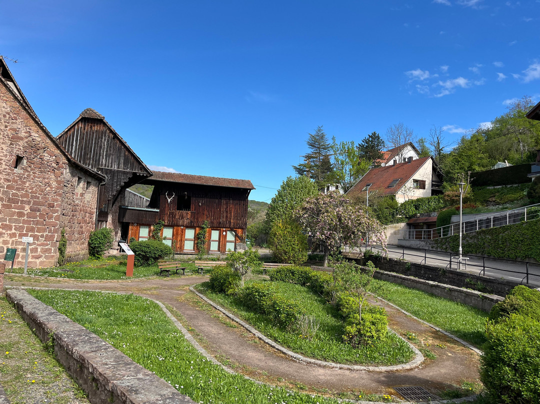 Parcours Historique d'Obernai-奥贝奈必去景点