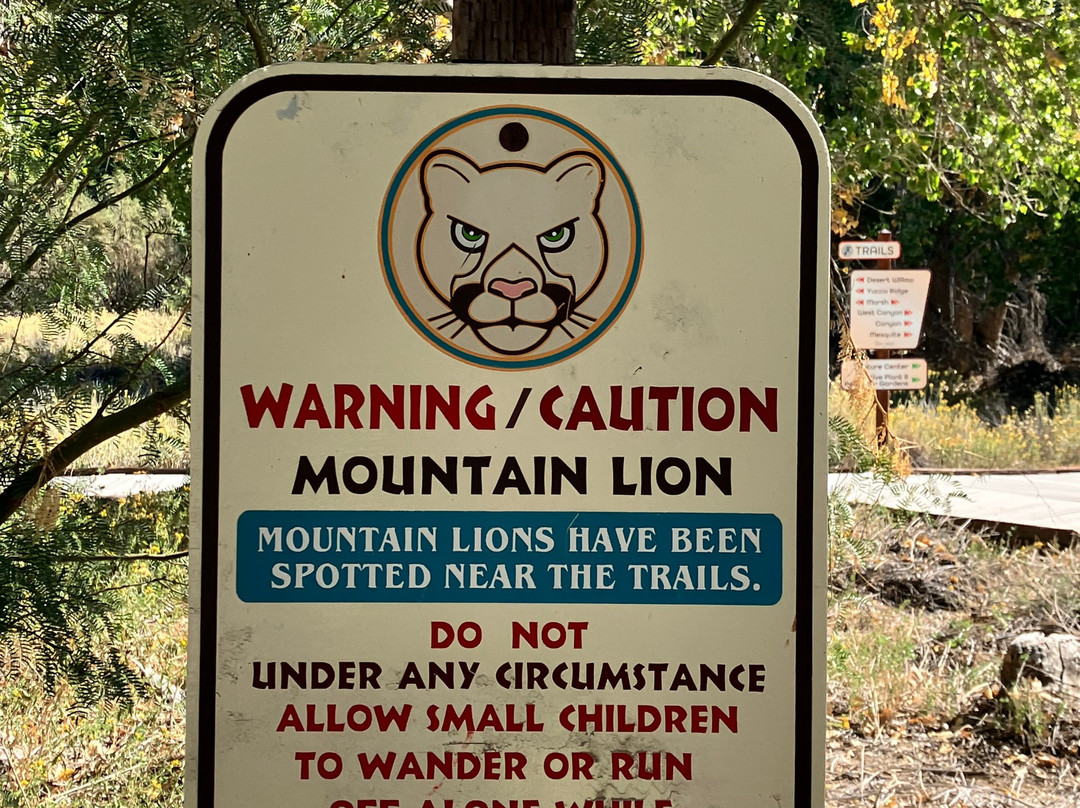 Big Morongo Canyon Preserve-Morongo Valley必去景点