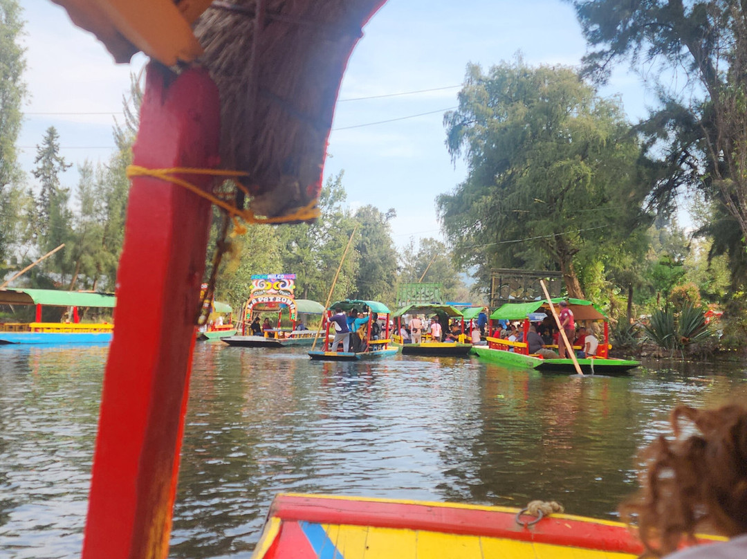 Floating Gardens of Xochimilco-墨西哥城必去景点