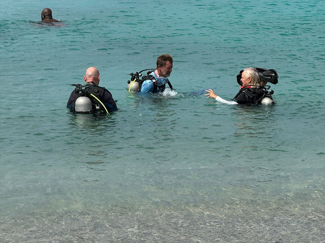 Central Dive Curacao-威廉斯塔德必去景点