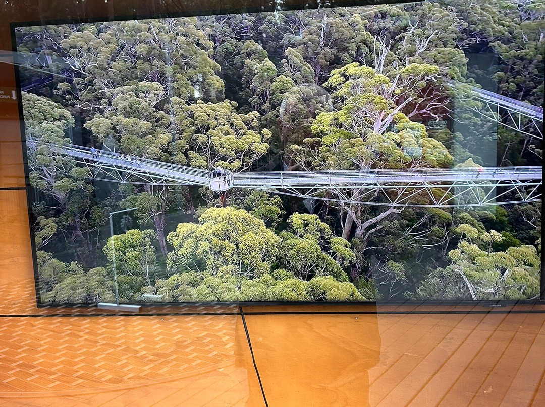 Tree Top Walk Motel主图