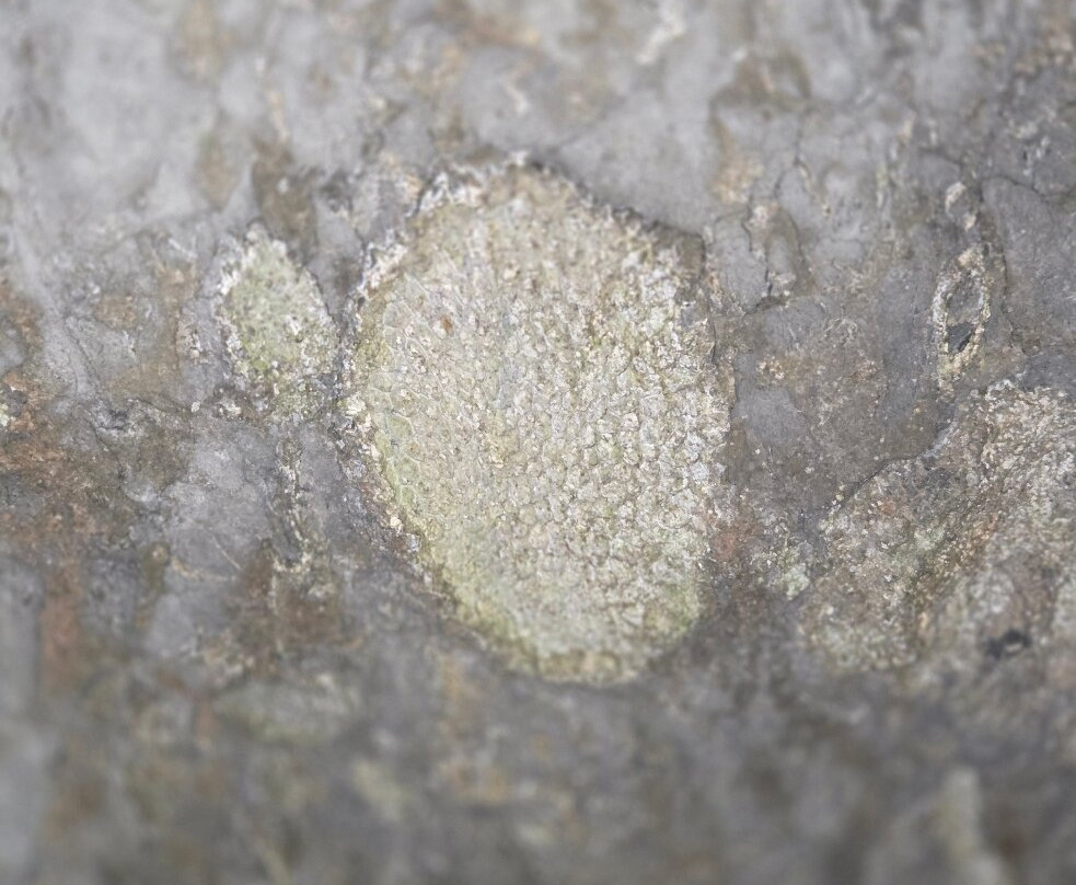 Marakoopa Cave-茉莉溪必去景点