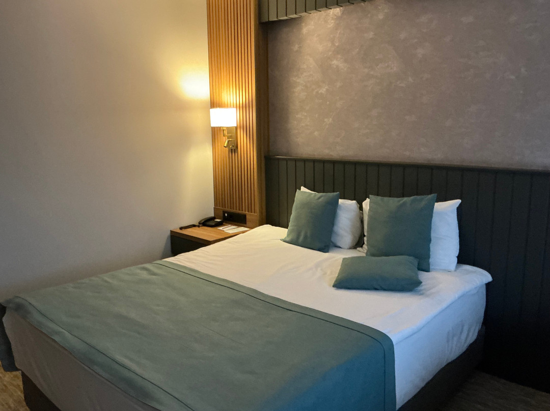 Adempira Termal & Spa Hotel主图