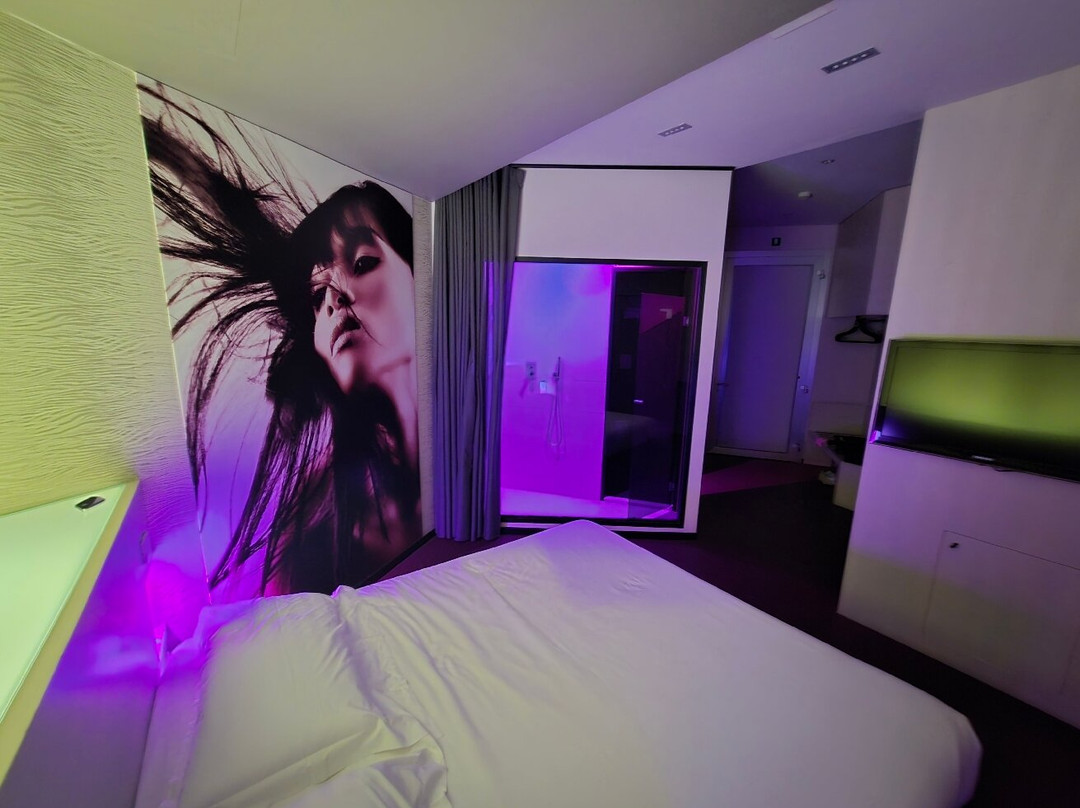 皮内塔酒店主图