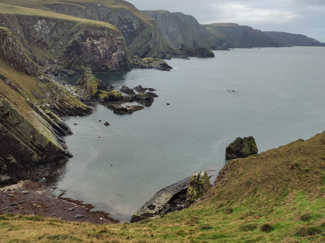 St Abbs Head National Nature Reserve-St Abbs必去景点