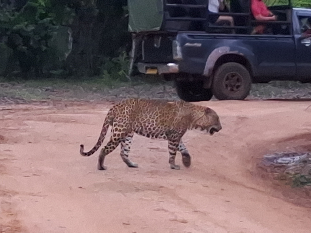 Geethmi Tours-亚洪加拉必去景点