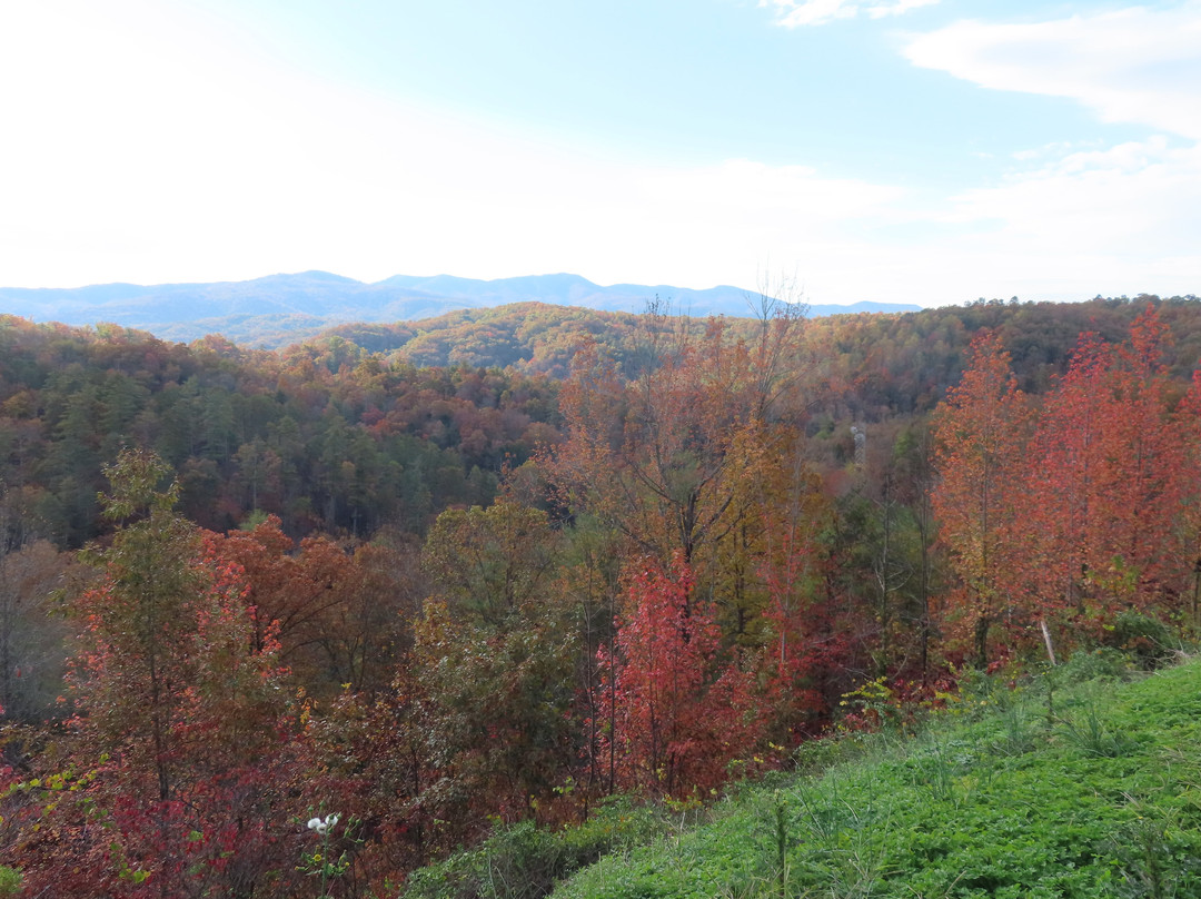 Cherohala Skyway-Tellico Plains必去景点