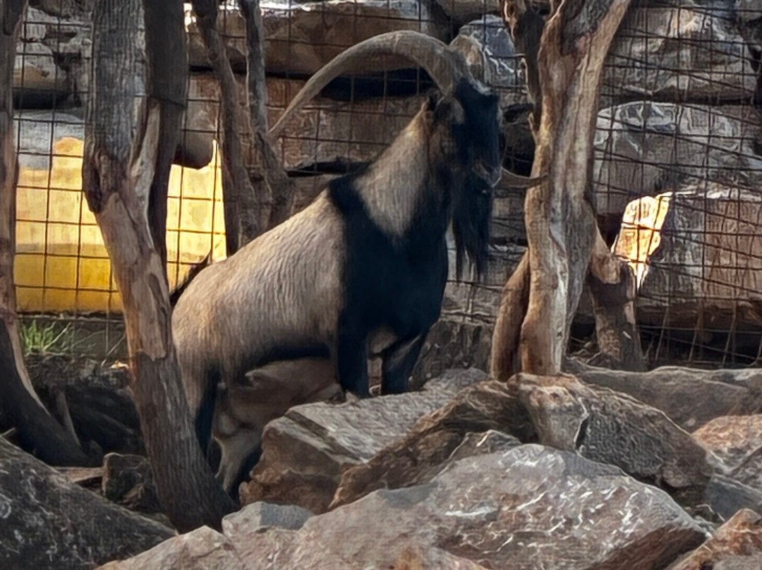 The Shepherds Shelter-Milopotamos必去景点