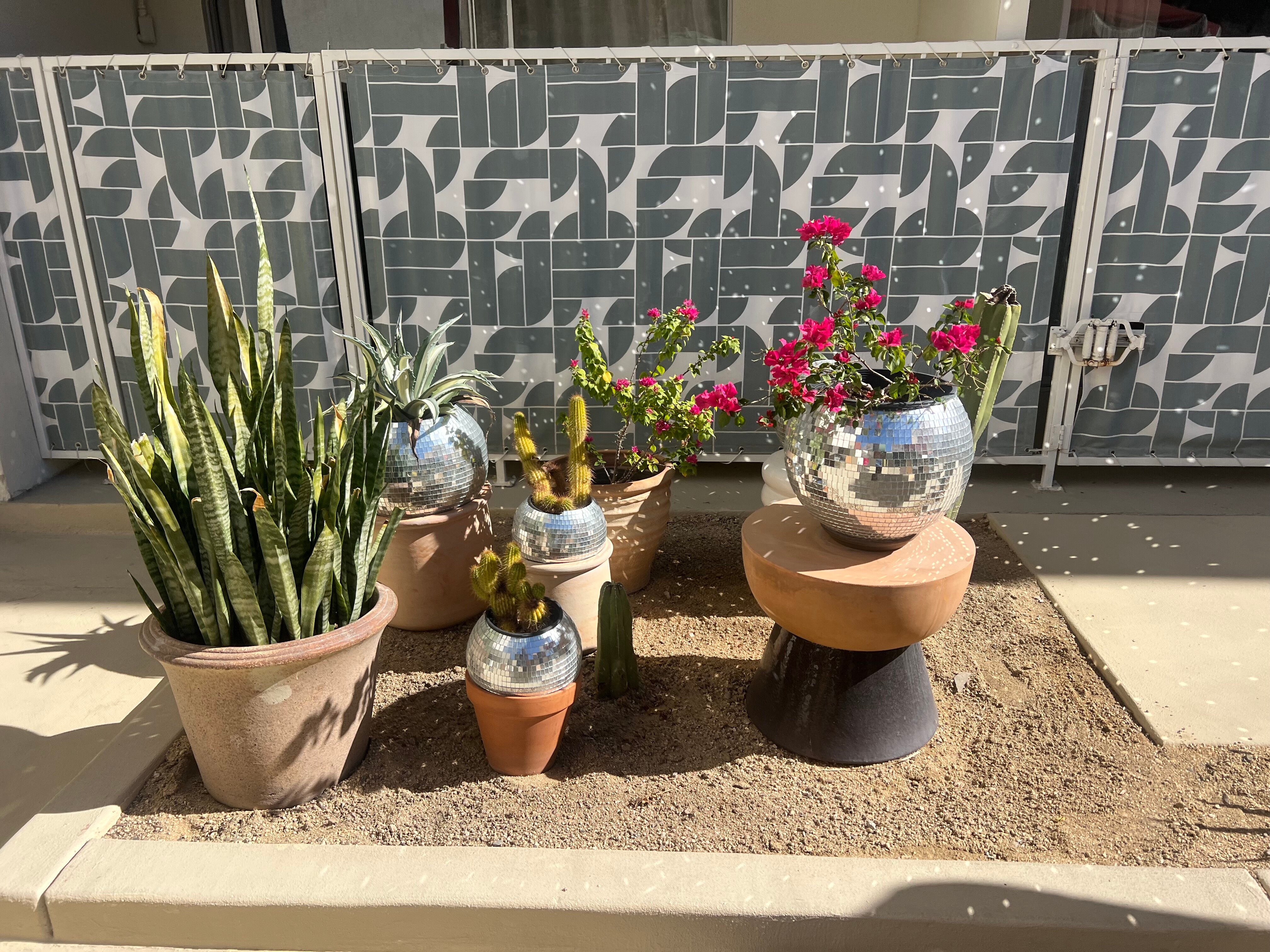 皇家太阳酒店-泳池