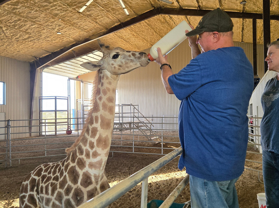 Blue Hills Ranch主图