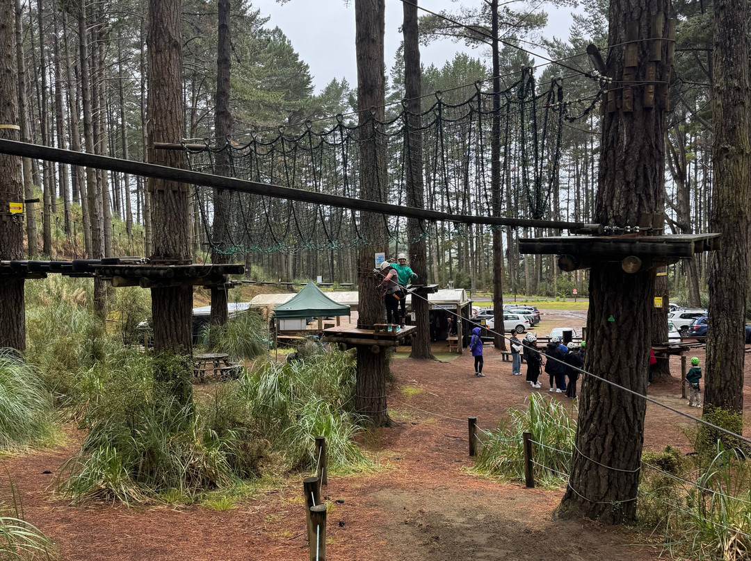 Tree Adventures-伍德山必去景点