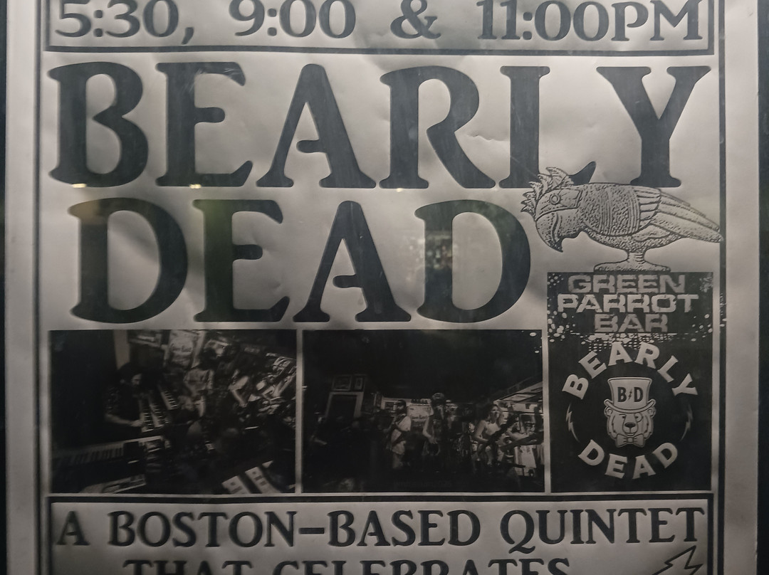 Green Parrot Bar-基韦斯特必去景点