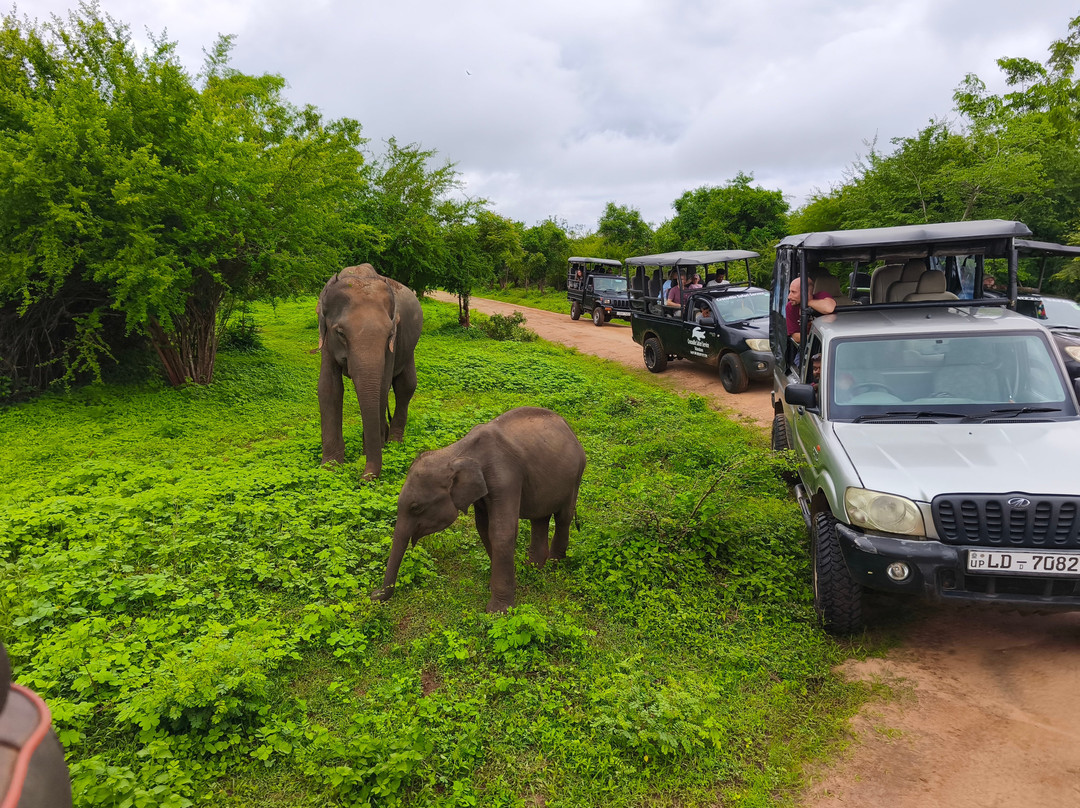 Safari Booking Sri Lanka-Hingurakgoda必去景点