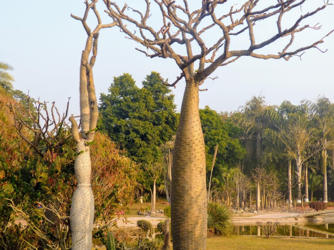 Sarkaria Cactus Garden-Panchkula必去景点