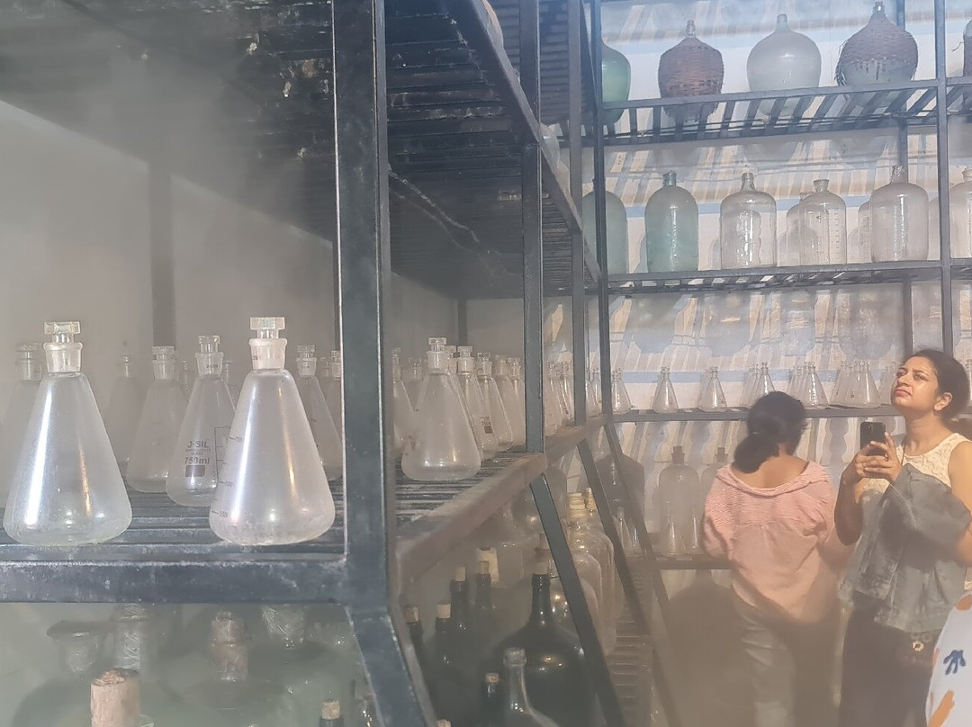 All About Alcohol-坎多林必去景点