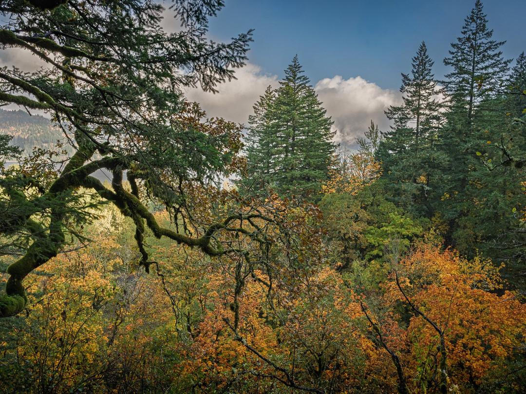 Bridal Veil Falls State Park-Corbett必去景点