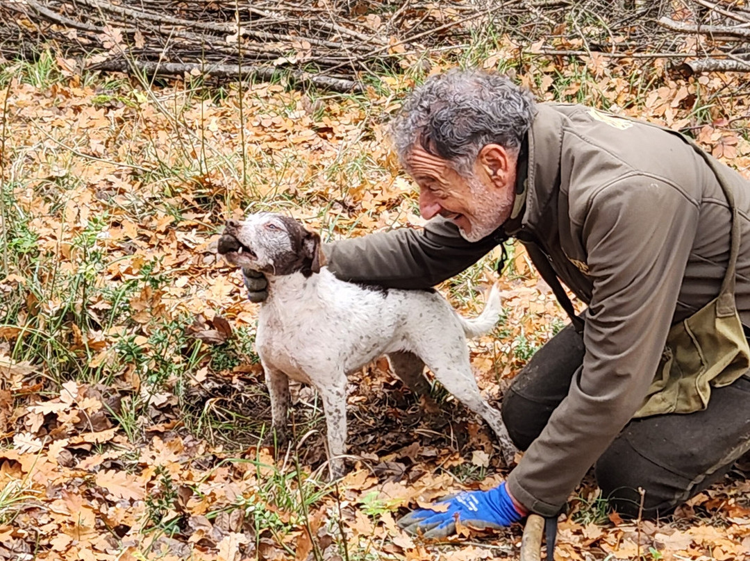 Podere Il Casale-皮恩扎必去景点