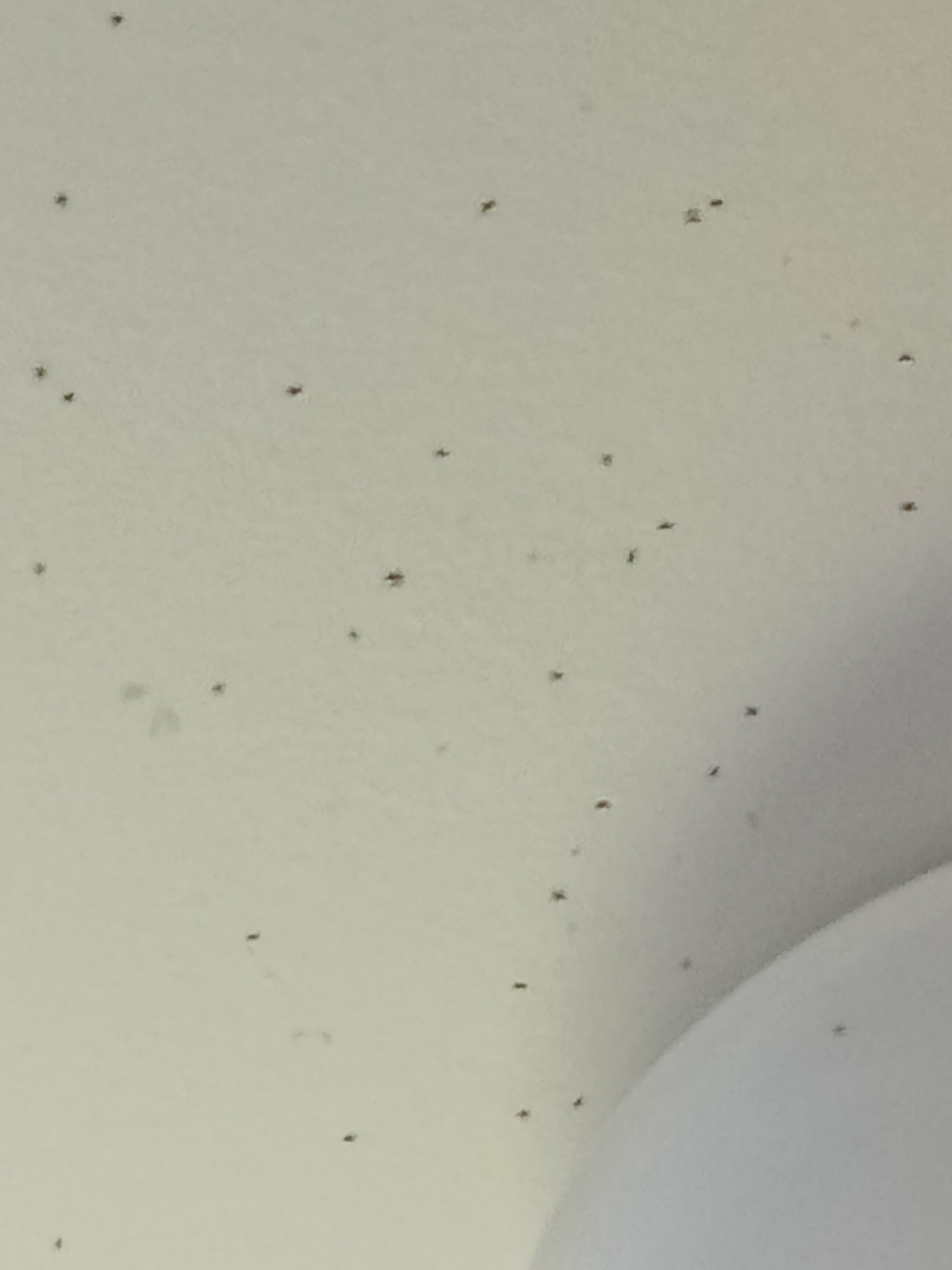 Sanctuary Inn on Westernport-官方