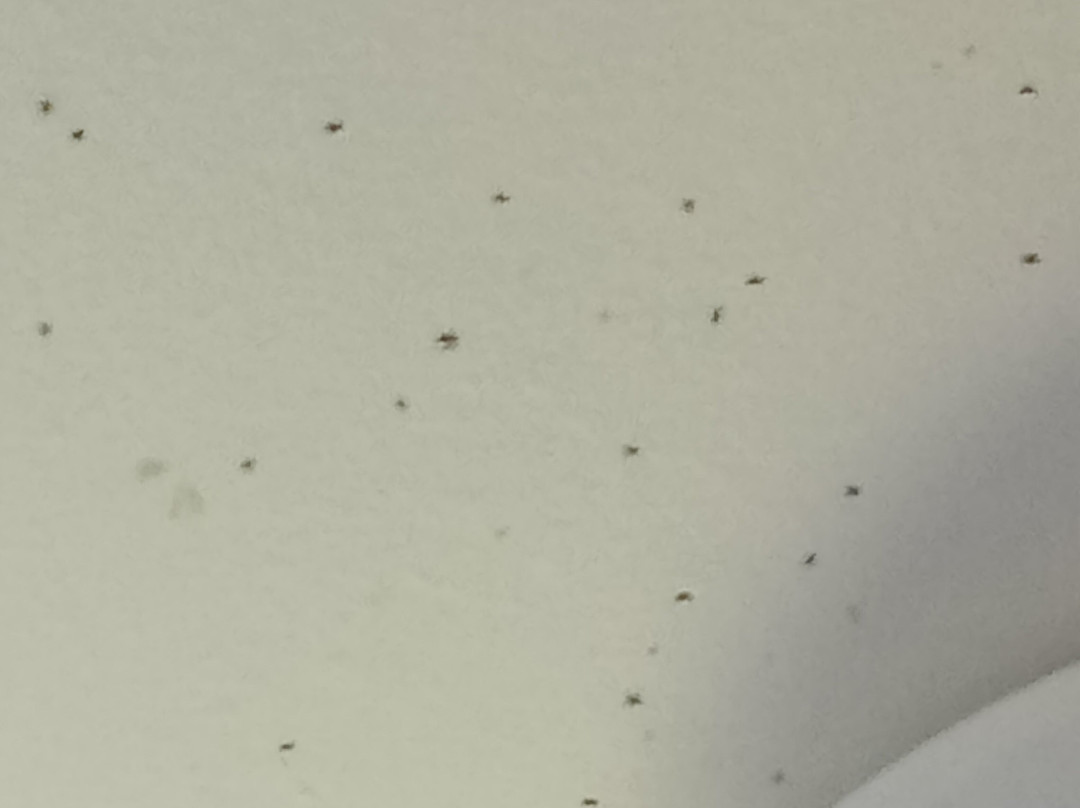 Sanctuary Inn on Westernport主图