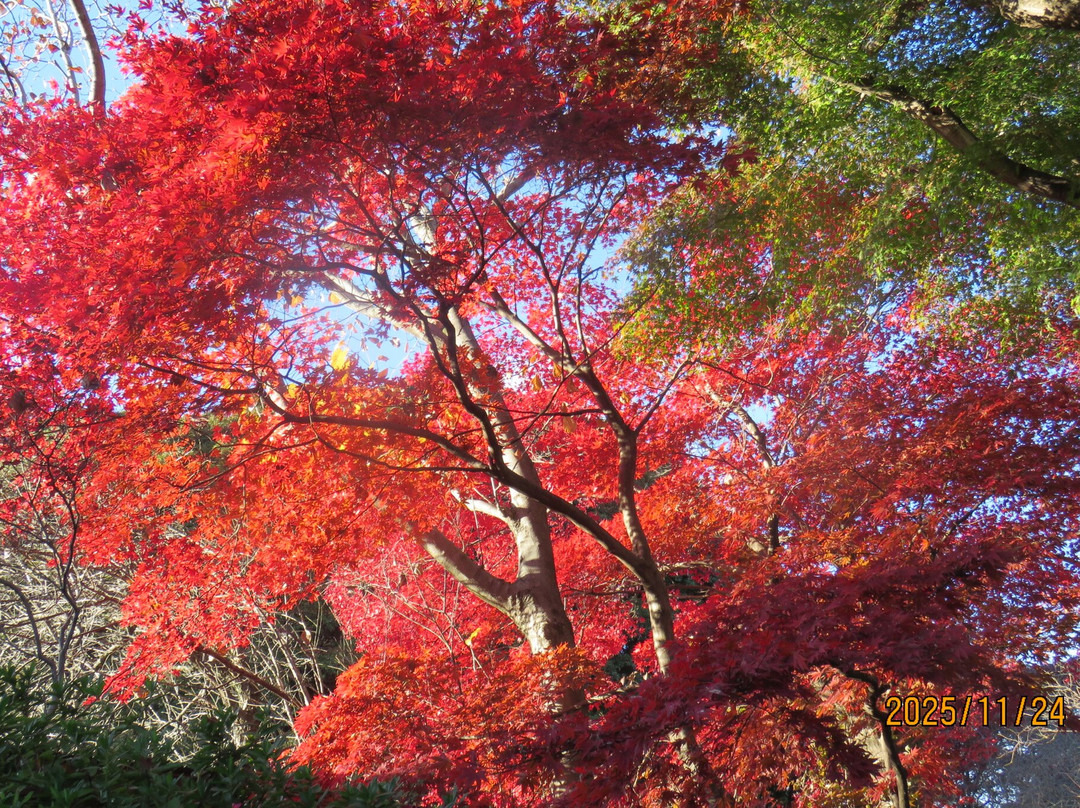 Mogusaen-日野市必去景点